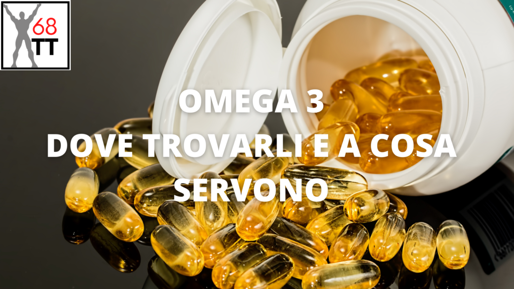 OMEGA 3 DOVE TROVARLI E A COSA SERVONO 68 Training Team